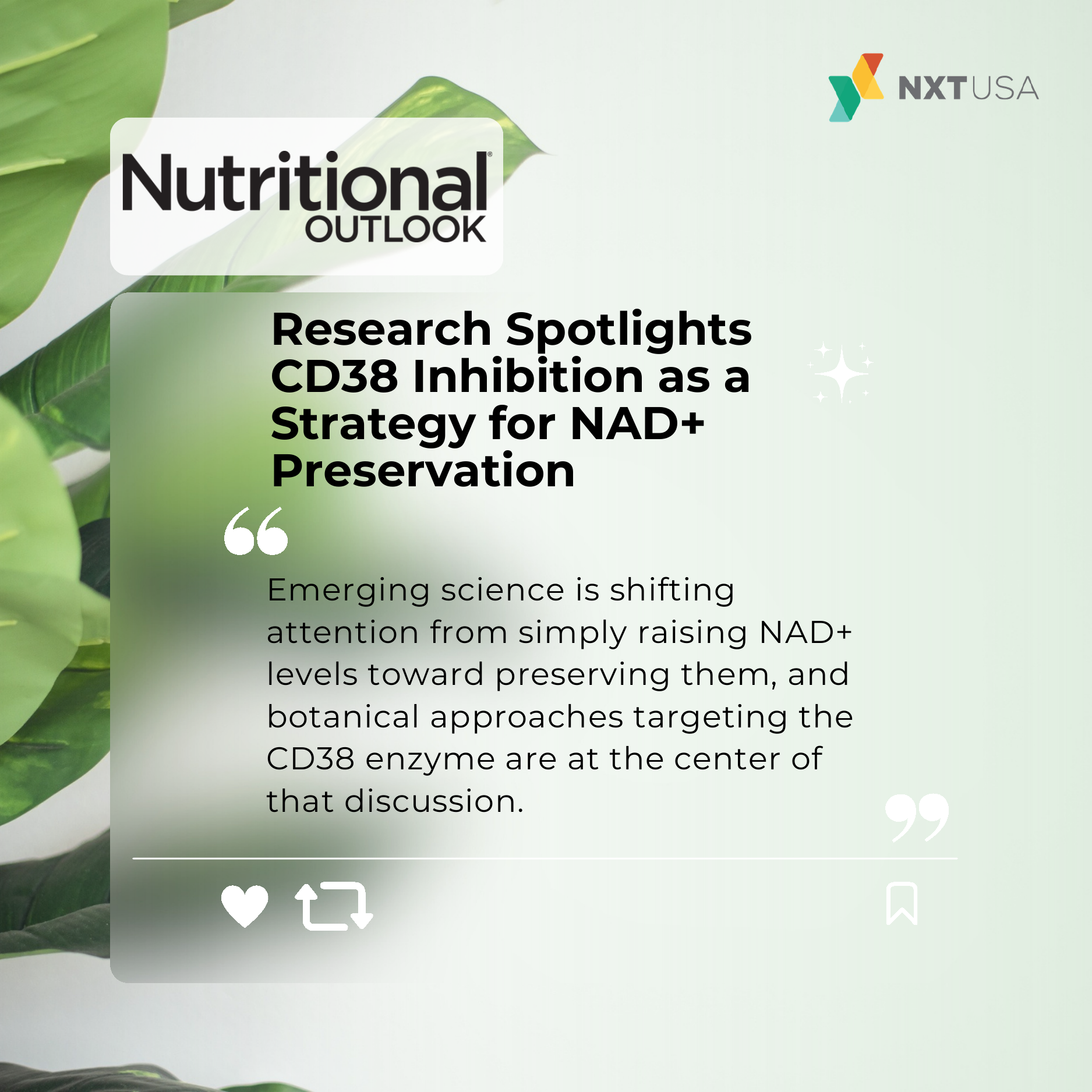 Research spotlight on CD38 inhibition and NAD preservation